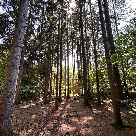 Apartman Na Kraji Lesa Všemina Buitenkant foto