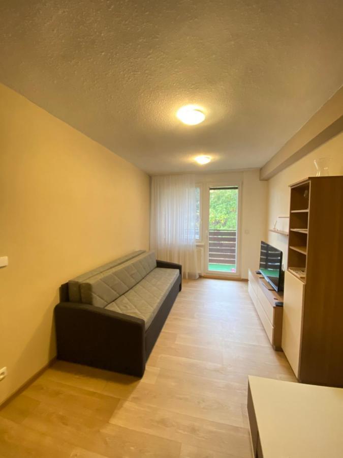Apartman Na Kraji Lesa Všemina Buitenkant foto