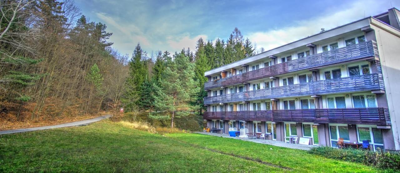 Apartman Na Kraji Lesa Všemina Buitenkant foto