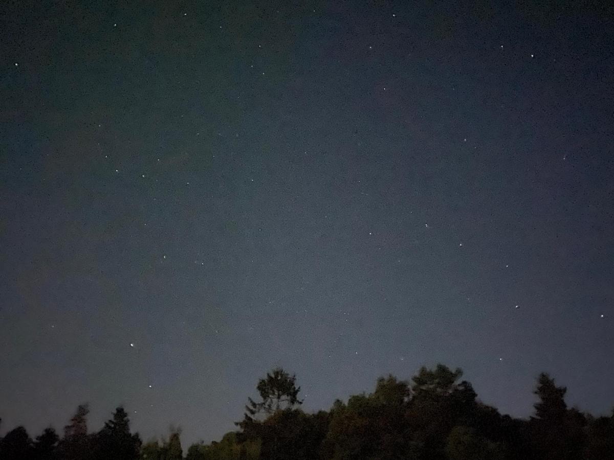 Apartman Na Kraji Lesa Všemina Buitenkant foto