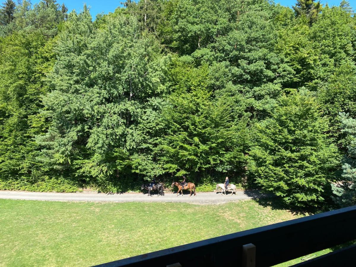 Apartman Na Kraji Lesa Všemina Buitenkant foto