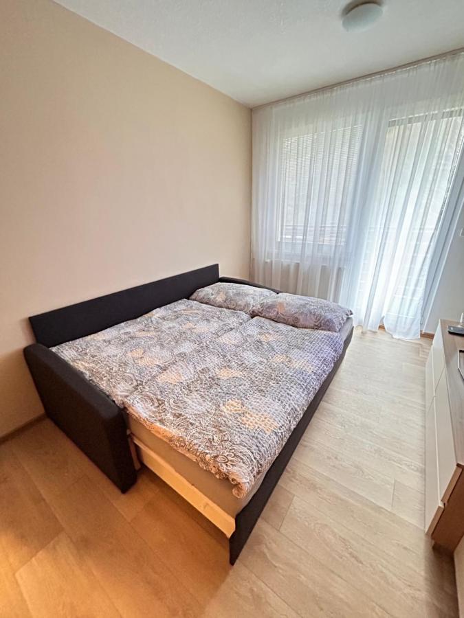 Apartman Na Kraji Lesa Všemina Buitenkant foto