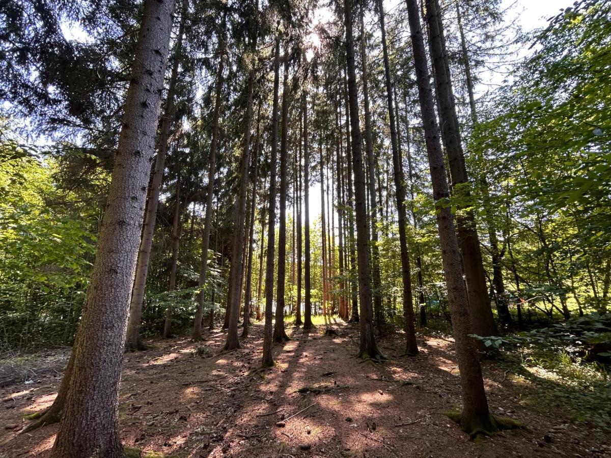 Apartman Na Kraji Lesa Všemina Buitenkant foto